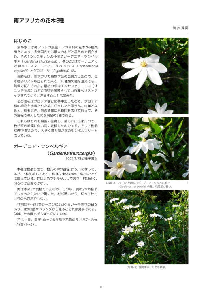 THPS会報 第1号 6ページ