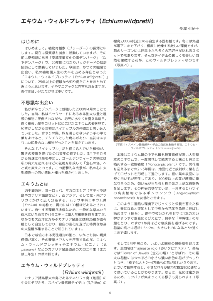 THPS会報 第1号 9ページ